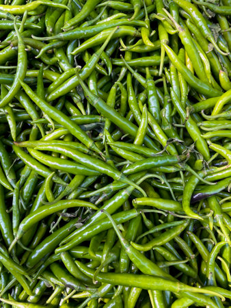 Fresh green chillies.this photo was taken from Chittagong,Bangladesh.の写真素材