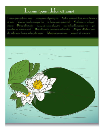 Card with water lilyのイラスト素材