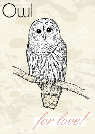 Poster with owl. Vintage style. Vector illustration EPS8のイラスト素材