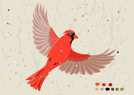 Poster with red cardinal from new bird collection.のイラスト素材