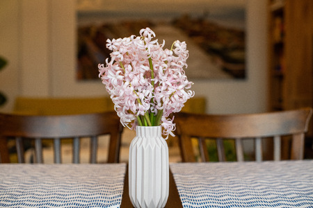 Pink  hyacinth blossom in a small pink vaseの写真素材
