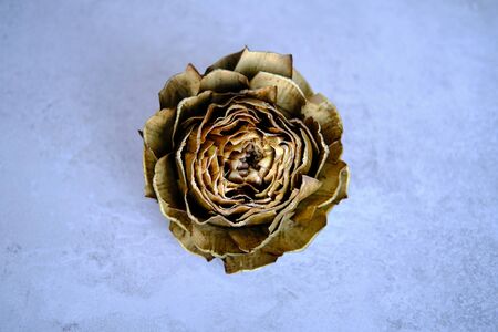 Steamed whole globe artichokeの写真素材