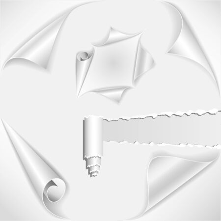 Rolled and torn paper pages  illustrationのイラスト素材