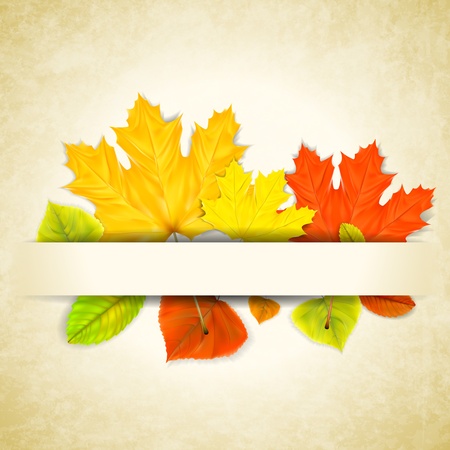 Autumn leaves on scratched paper background のイラスト素材