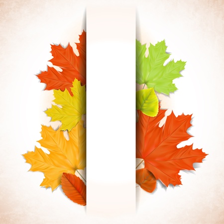 Abstract autumn background with white strip for text のイラスト素材