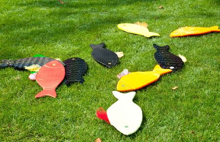  Kid toys  Color fish on the grassの写真素材
