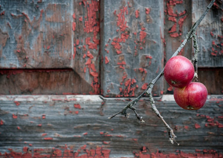 red apples on old shabby wooden background