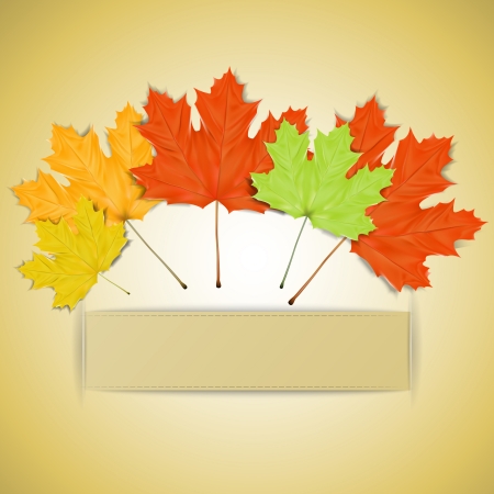 Colorful autumn leaves with place for your textのイラスト素材