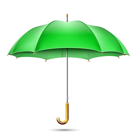 Realistic Detailed Green Umbrellaのイラスト素材