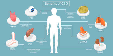 3D Isometric Flat Vector Conceptual Illustration of Benefits Of CBD, Impact of Cannabidiol on Psychiatric and Medical Conditionsのイラスト素材