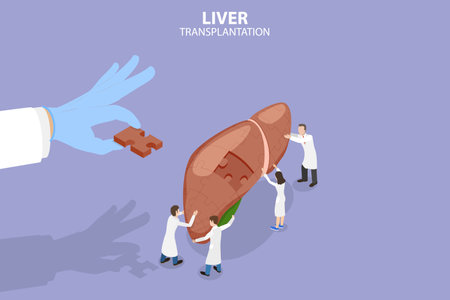 3D Isometric Flat Vector Conceptual Illustration of Liver Transplantation, Donation Organsのイラスト素材