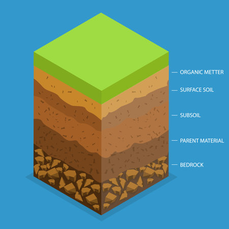 3D Isometric Flat Vector Conceptual Illustration of Layer Of Fertile Soil, Educational Schemaのイラスト素材