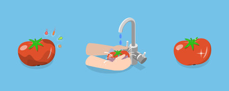 3D Isometric Flat Vector Conceptual Illustration of Vegetable and Frute Safety, Washing Food Before Eatingのイラスト素材