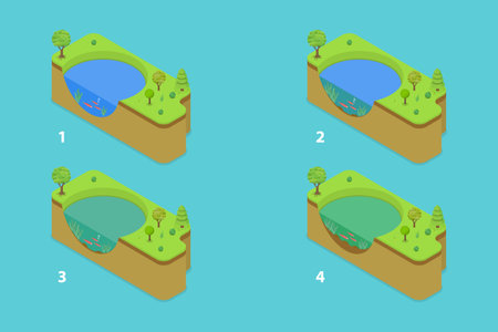 3D Isometric Flat Vector Conceptual Illustration of Eutrophication Process , Water Pollution Stagesのイラスト素材