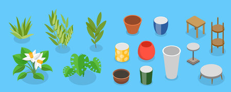 3D Isometric Flat Vector Set of Plants In Pots, Home Indoor Green Decorのイラスト素材