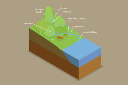 3D Isometric Flat Vector Conceptual Illustration of Drainage Basins, Water Basin System with Mountain River Streams Outline Diagramのイラスト素材
