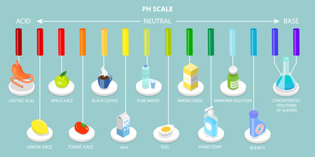 3D Isometric Flat Vector Conceptual Illustration of PH Scale, Food Acidity Chartのイラスト素材