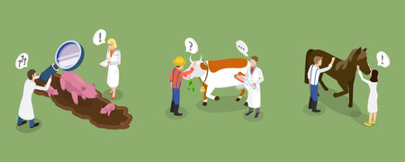 3D Isometric Flat Vector Conceptual Illustration of Farm Veterinary Doctor, Health Checkのイラスト素材