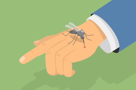 3D Isometric Flat Vector Conceptual Illustration of Misquito Bite, Blood Sucking Insectsのイラスト素材