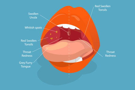 3D Isometric Flat Vector Conceptual Illustration of Parts Of Human Mouth, Educational Diagramのイラスト素材