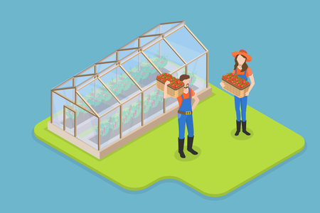 3D Isometric Flat Vector Conceptual Illustration of Greenhouse, Growing Vegetables in Agricultureのイラスト素材