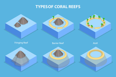 3D Isometric Flat Vector Illustration of Types Of Coral Reefs, Structure of Islandsのイラスト素材