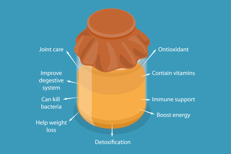 3D Isometric Flat Vector Illustration of Benefits Of Combucha, Fermented Probiotic Tea Mushroomのイラスト素材
