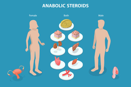 3D Isometric Flat Vector Illustration of Anabolic Steroids, Performance-enhancing Drugs, Doping Use in Sportのイラスト素材