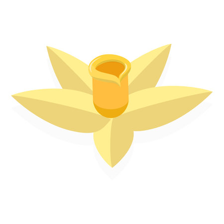 3D Isometric Flat Vector Set of Vanilla Elements, Dried Beans and Sticks. Item 2のイラスト素材