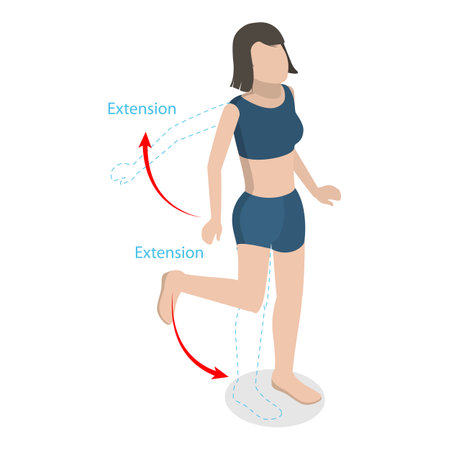 3D Isometric Flat Vector Illustration of Flexion And Extension, Human Body Movement. Item 1のイラスト素材