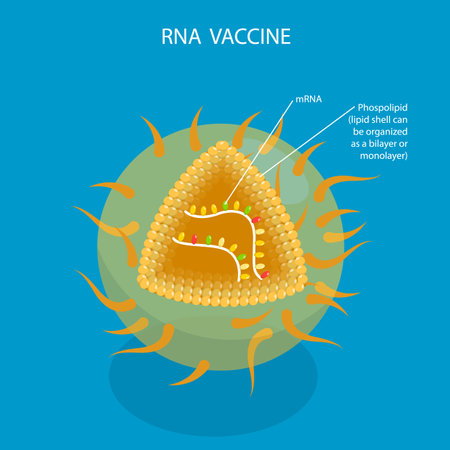 3D Isometric Flat Vector Illustration of RNA Vaccine, Drug for Produce an Immune Responseのイラスト素材