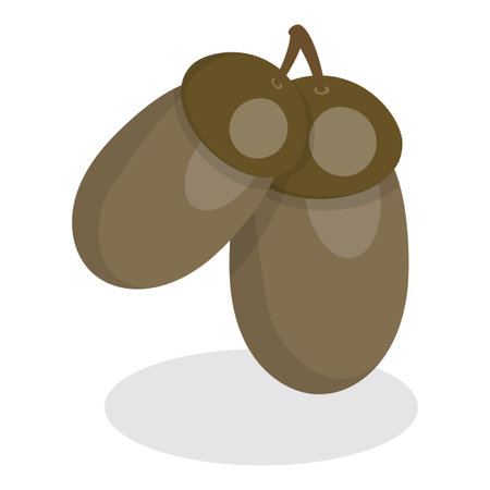 3D Isometric Flat Vector Set of Acorns And Cones, Natural Objects. Item 1のイラスト素材