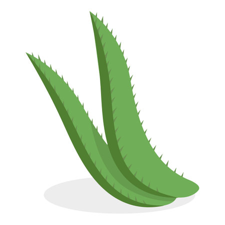 3D Isometric Flat Vector Set of Medical Herbs And Berries, Natural Herbal Medication. Item 4のイラスト素材