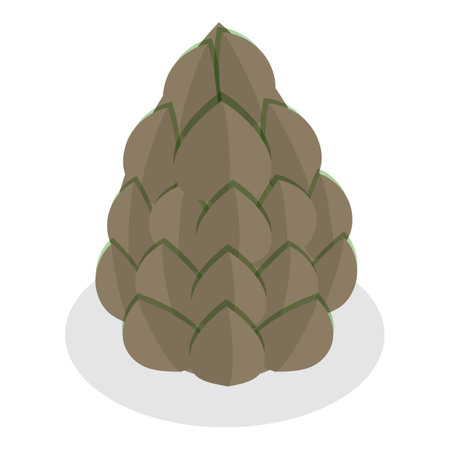 3D Isometric Flat Vector Set of Acorns And Cones, Natural Objects. Item 6のイラスト素材