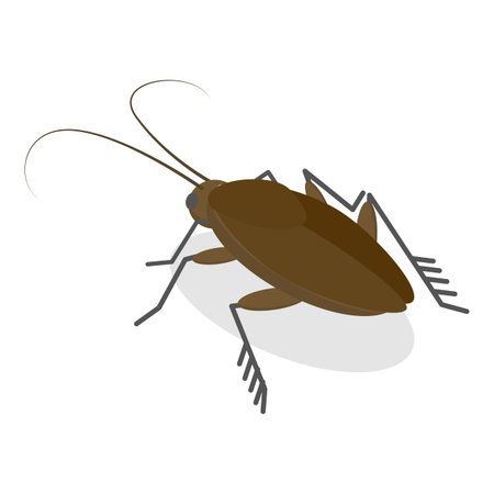 3D Isometric Flat Vector Set of Insects, Bug, Mosquito, Fly, Cockroach, Butterfly.