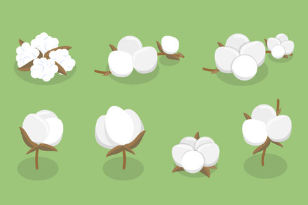 3D Isometric Flat Vector Illustration of Cotton Flower Collection, Pure and Organic Productのイラスト素材