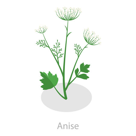 3D Isometric Flat Vector Set of Healing Herbs, Herbal Medicine. Item 4のイラスト素材