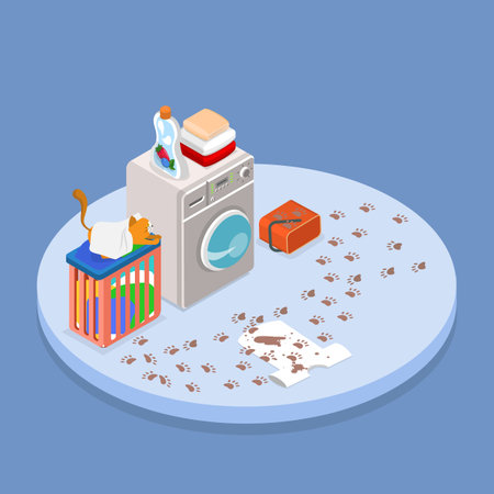 3D Isometric Flat Vector Illustration of Laundry Room, Messy Bathroom with Clothes and a Catのイラスト素材