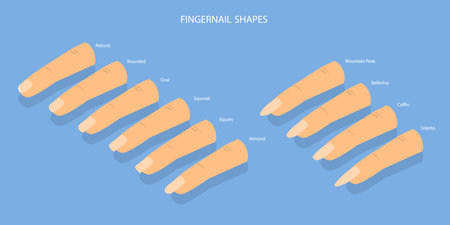3D Isometric Flat Vector Set of Different Shapes of Fingernails, Iinds of Nailsのイラスト素材