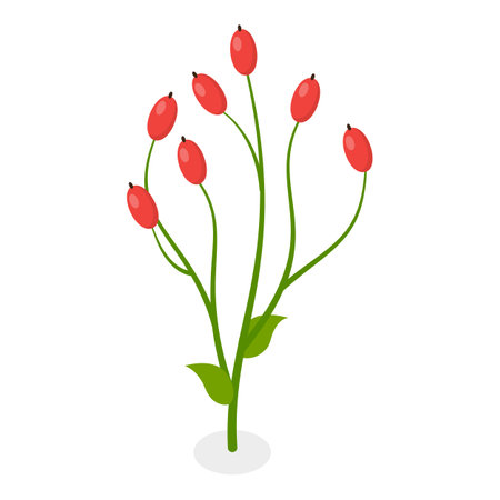 3D Isometric Flat Vector Illustration of Flowers Collection, Set of Various Blooming Plants.のイラスト素材