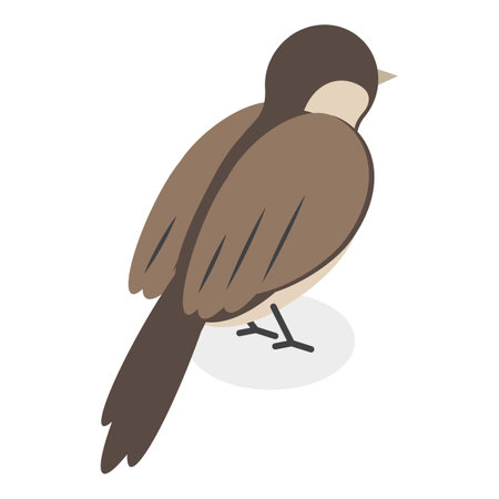 3D Isometric Flat Vector Set of City Birds, Sparrow, Tit, Pigeon, and Crow.のイラスト素材