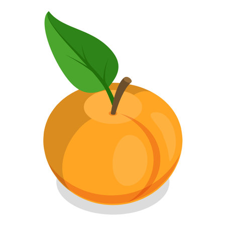 3D Isometric Flat Vector Set of Fruits, Tasty and Healthy Nutrition.のイラスト素材