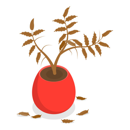 3D Isometric Flat Vector Set of Withered Houseplants In Pots, Fading Indoor Plants.のイラスト素材