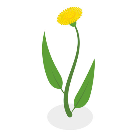 3D Isometric Flat Vector Illustration of Flowers Collection, Set of Various Blooming Plants. Item 5のイラスト素材