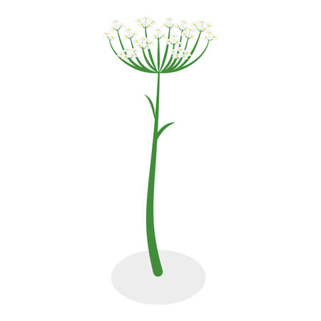 3D Isometric Flat Vector Illustration of Flowers Collection, Set of Various Blooming Plants. Item 13のイラスト素材
