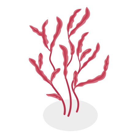 3D Isometric Flat Vector Set of Seaweeds, Marine Algae Collection. A set of various types of seaweed gathered from the ocean, perfect for showcasing the beauty of underwater flora.. Item 4のイラスト素材