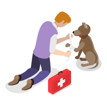 3D Isometric Flat Vector Illustration of Pet Adopting, Compassionate Individuals Assist Animals In Need. Item 1のイラスト素材