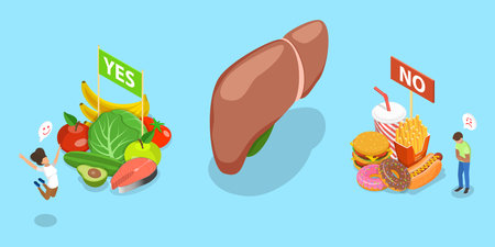 3D Isometric Flat Vector Illustration of Good And Bad Food For Liver, Balanced Diet Choicesのイラスト素材
