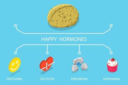 3D Isometric Flat Vector Illustration of Happy Hormones, Brain Chemicalsのイラスト素材