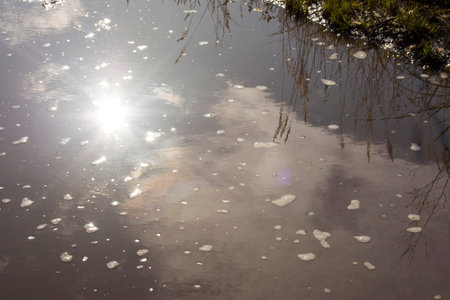 Reflection of the sun in the water. Rays and highlights